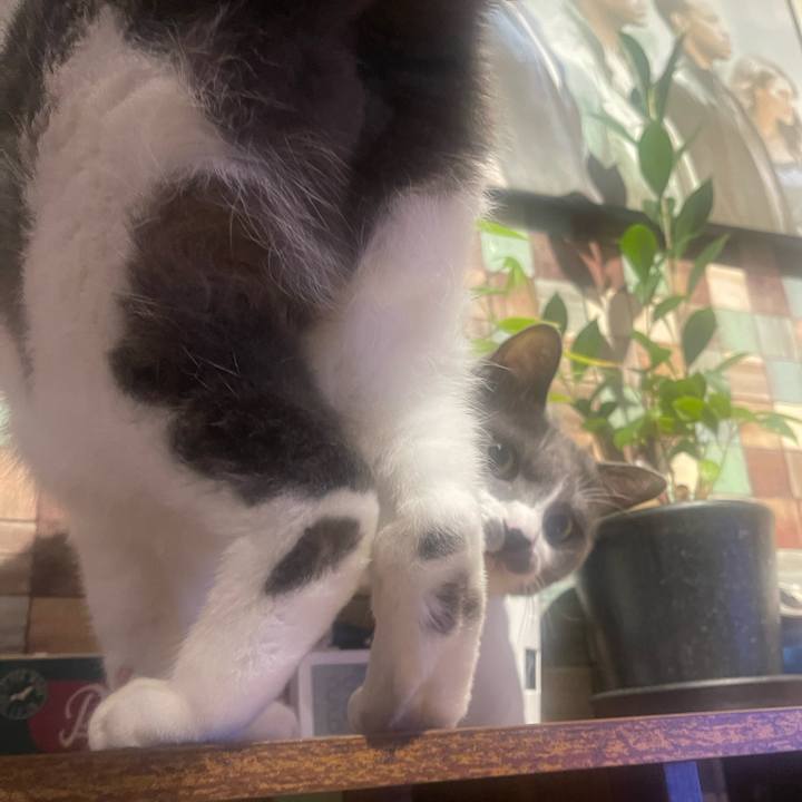 2283885d f736 4e30 a067 61be340d5882 1730736010583