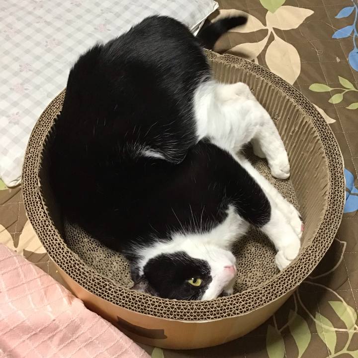 22839284 30e1 43be 9e42 68b5bb802abe 1761470600789