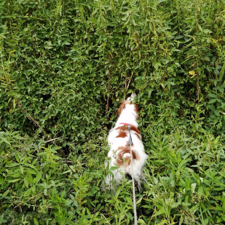 2283a7d0 9f15 4e99 98d7 ce846c63bfe3 1569670353962