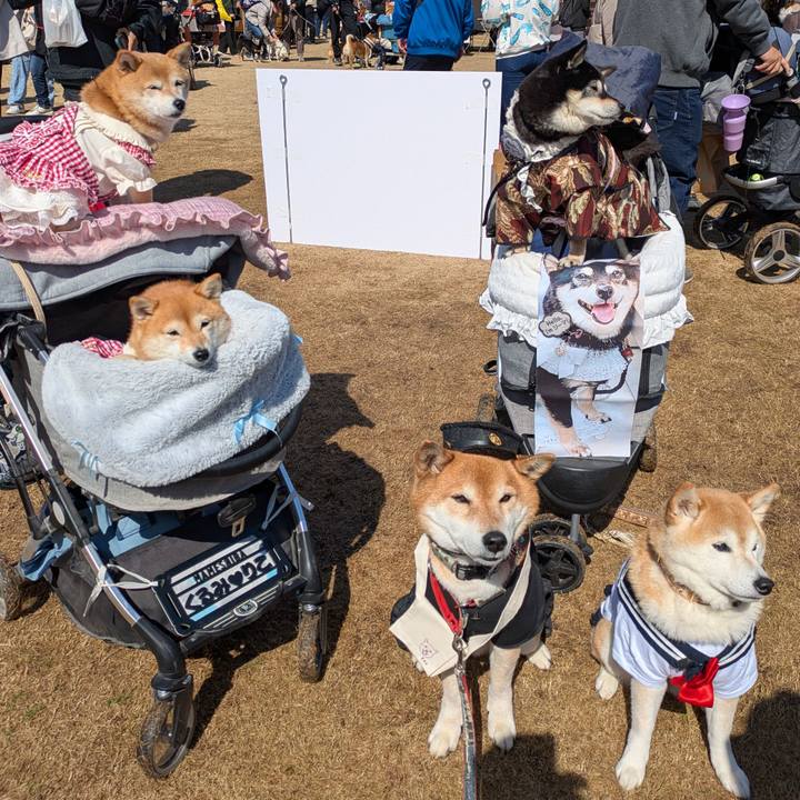 2283f785 548c 4f50 90e6 3da2ccc30423 1741617148499