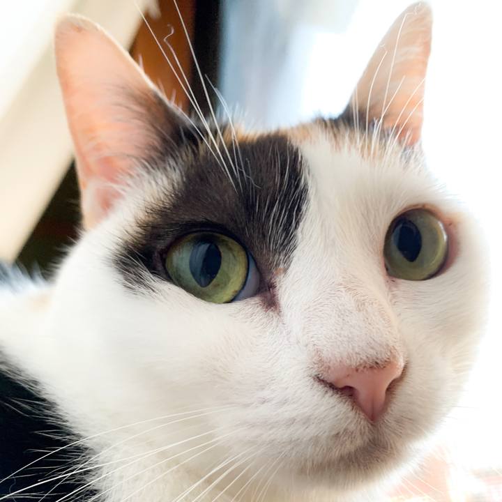 2283ffdd b480 4d3c 8f24 add8987de96a 1565051968714