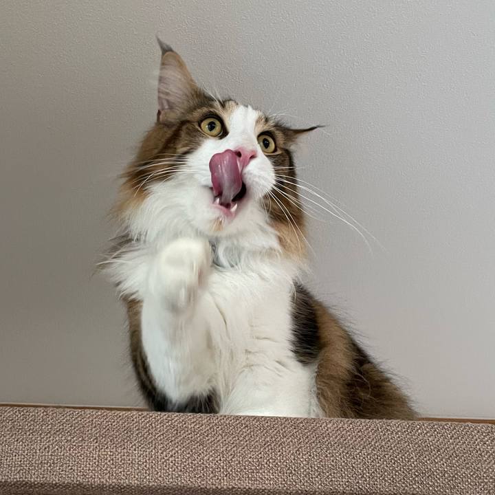 22840aae 5839 47df ad82 826ed673a0e6 1653080017303