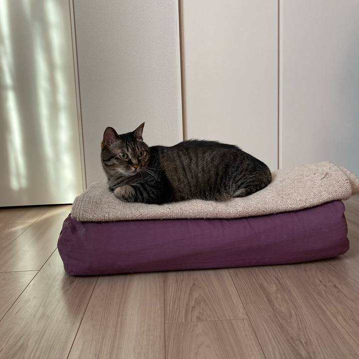 22841234 5cd1 4470 93ac ec2e5002770b 1687392116647