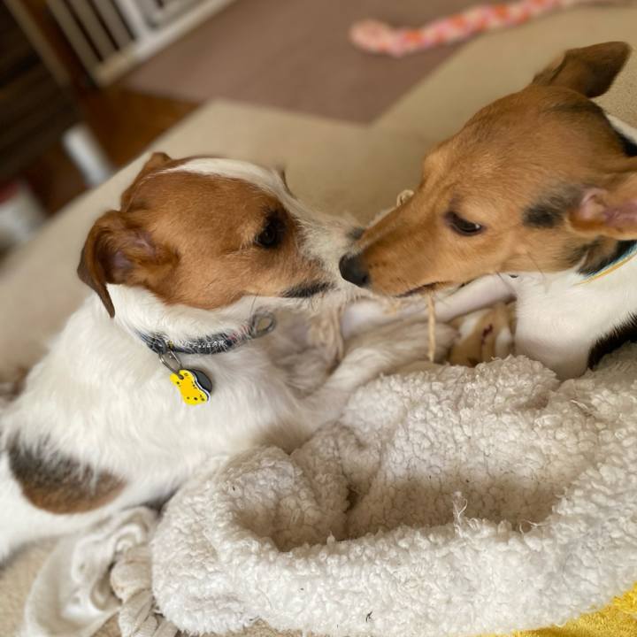 228414e7 2d9a 4dfa b9aa 2e875605f817 1750587205924