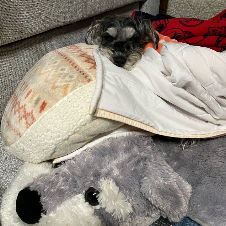 22841fc1 190d 4eaf ae34 c0d82e825f7f 1735307210031