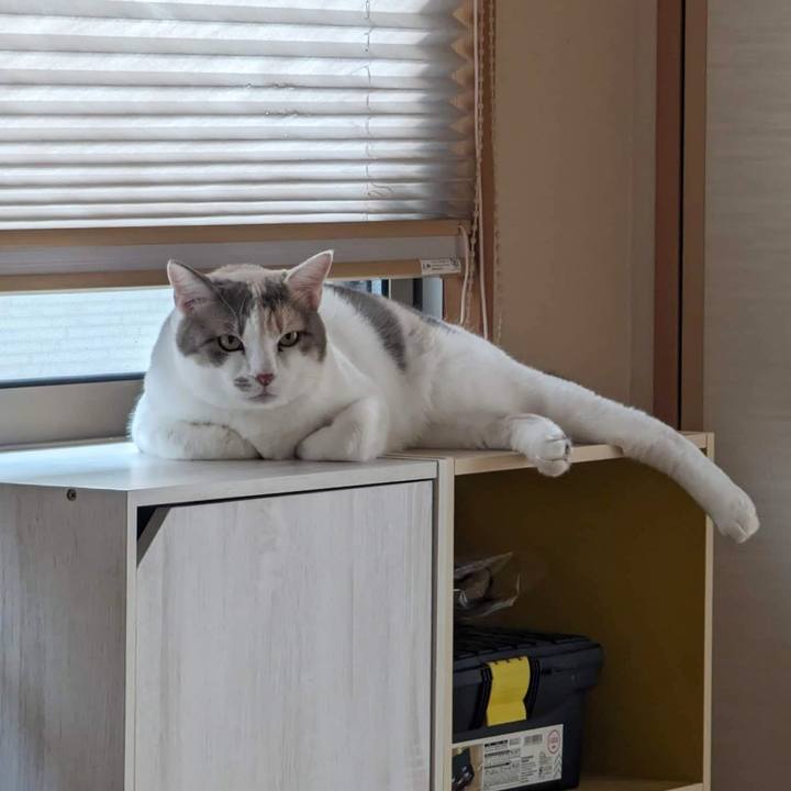 228459e2 09c4 44b9 ab73 d9f2f69e403f 1697430829448