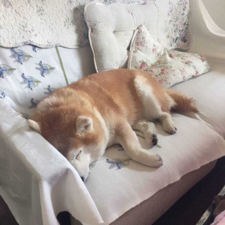 22847ee2 95d5 42e8 9543 04afeb416528 1616808836137