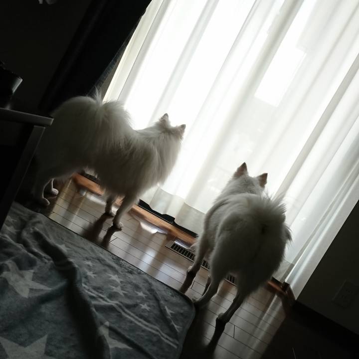 2284839e bcad 499c bcd1 6b8a157208f3 1589936273536