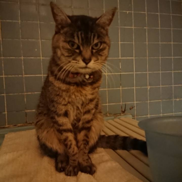 228494f6 aa2b 4c1e 9e2f 43f46fdfd401 1581501158748