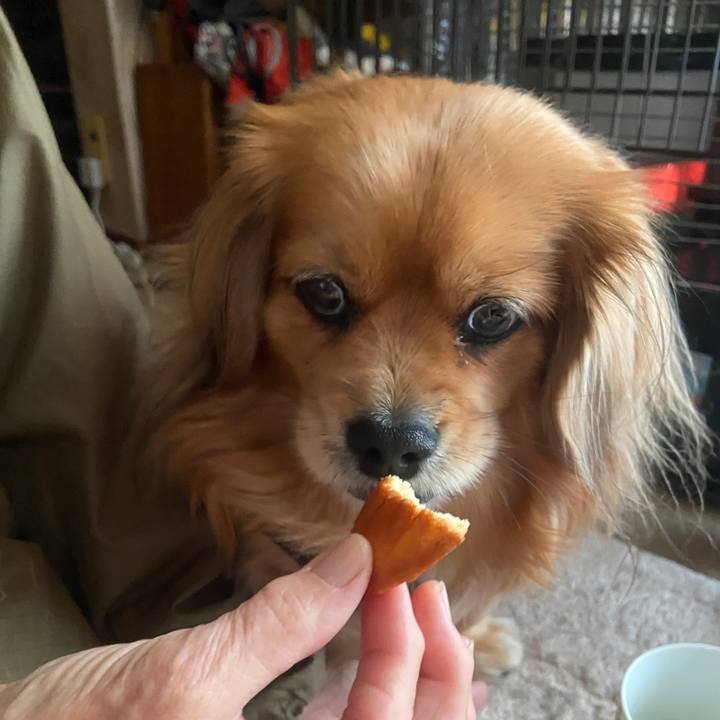 2284b713 e354 4c17 8053 46f90e9d40ca 1675208244233