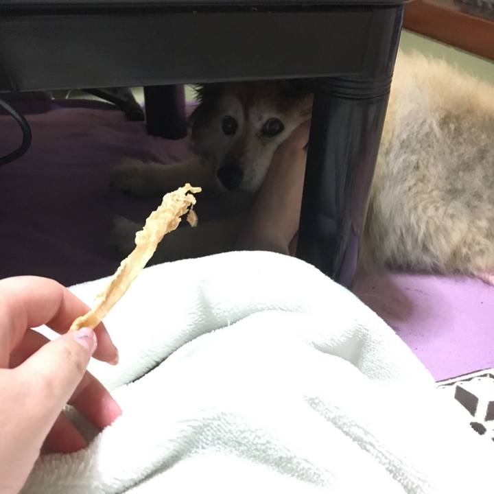 2284f52c 1a34 4fae 8a0a b1970804a226 1563440128214