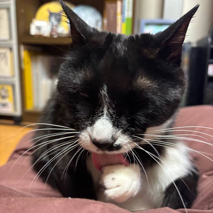 22852f2c b5fb 47a2 b007 119cfb3aac37 1774439225542