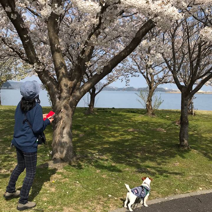 2285529a 0eb9 4150 9140 ddb479571061 1554524040816