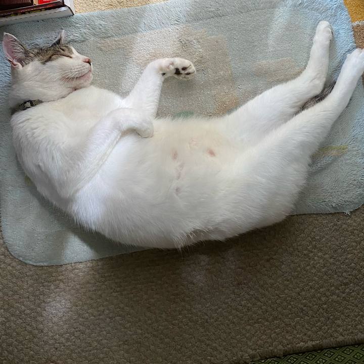 22855fd8 49fa 4501 990d 0e15a36414f8 1599537340739