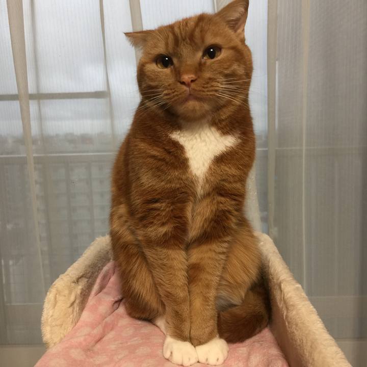 22856809 c547 4516 a0f5 68123e12140b 1552256571148