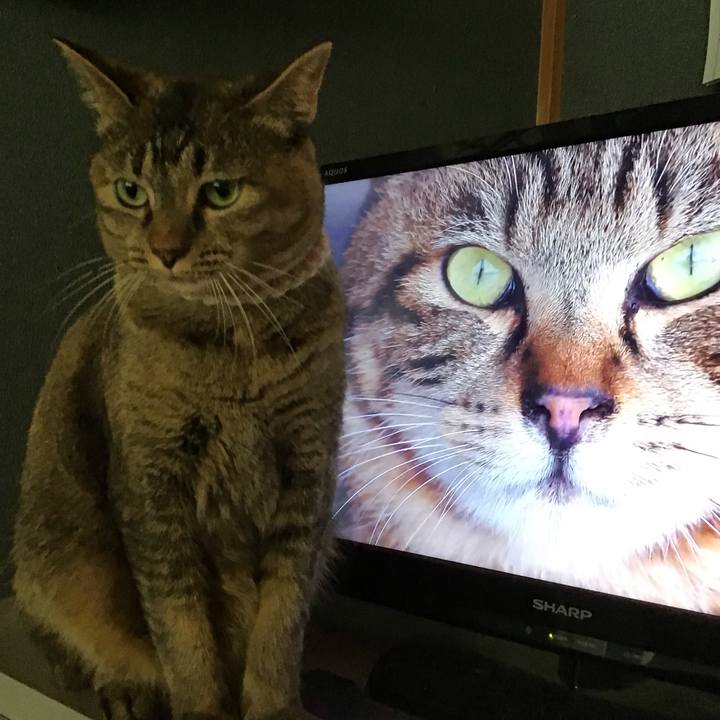 22856f9c f8a7 4115 8134 86b3673543ca 1659776859968