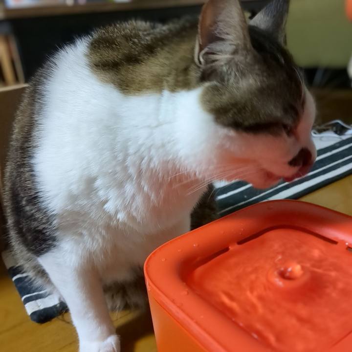 228576d5 7ebb 4738 9c16 39f07029cec6 1671922986770