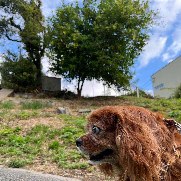 22857c16 2e09 4a8c 9047 183204aa25fa 1729571434140