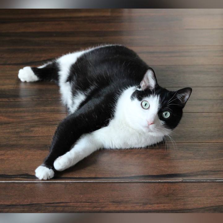 2285b8e9 d42c 4f0b afe4 8fcf9e8a50b3 1685835220085