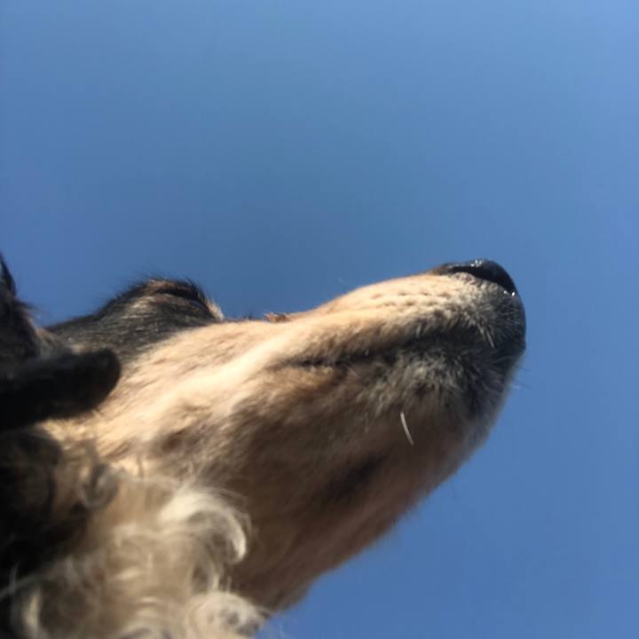 2285de0a 0a82 425f 9d98 78d4b66e9f71 1584577277524