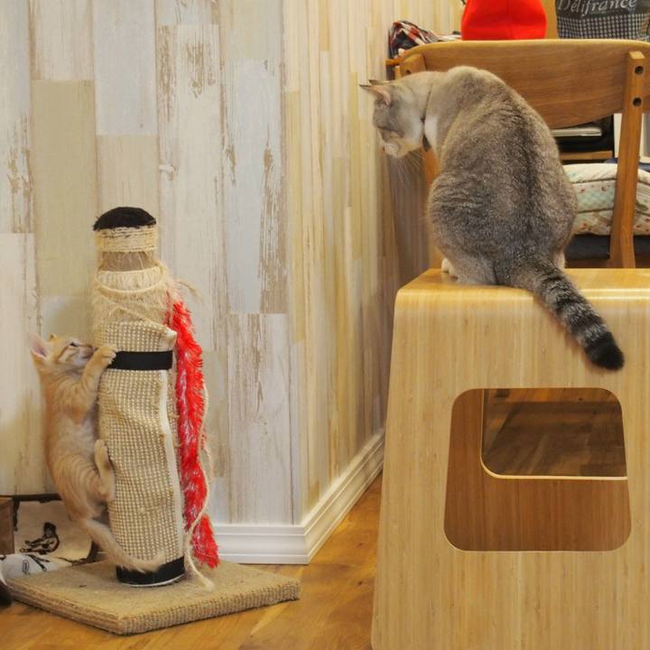 228610a0 2b8c 4e26 939e 15547098f1e9 1571997583016