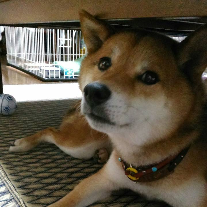 228611bd 6635 4502 86a6 83377281c321 1530276793729