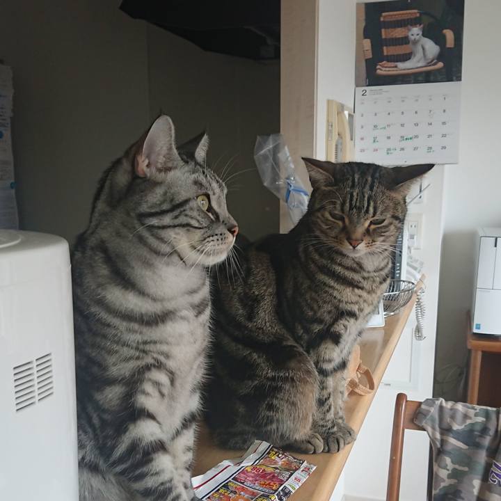 228642b9 7064 45a4 b7e0 cda19a28a8f1 1582377827489