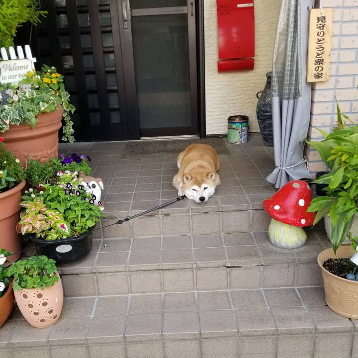 22866b59 2e0d 4de3 a588 98c0b8692c11 1597707038425