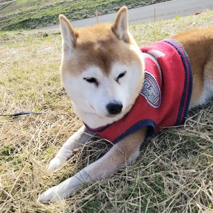 2286a0e1 05aa 4fa9 aa92 e696eb2a8aa3 1606190733673