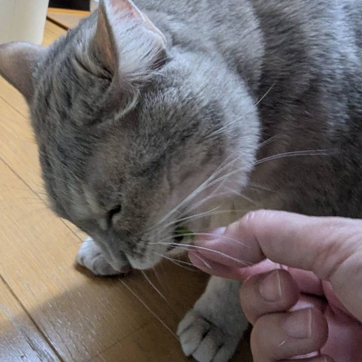 2286b4dc 56e4 43d5 857c 0c8b37d18b10 1735199400999