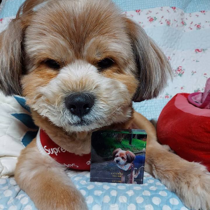 2286d097 b6bc 4f3d 884a 311579593218 1617362317578