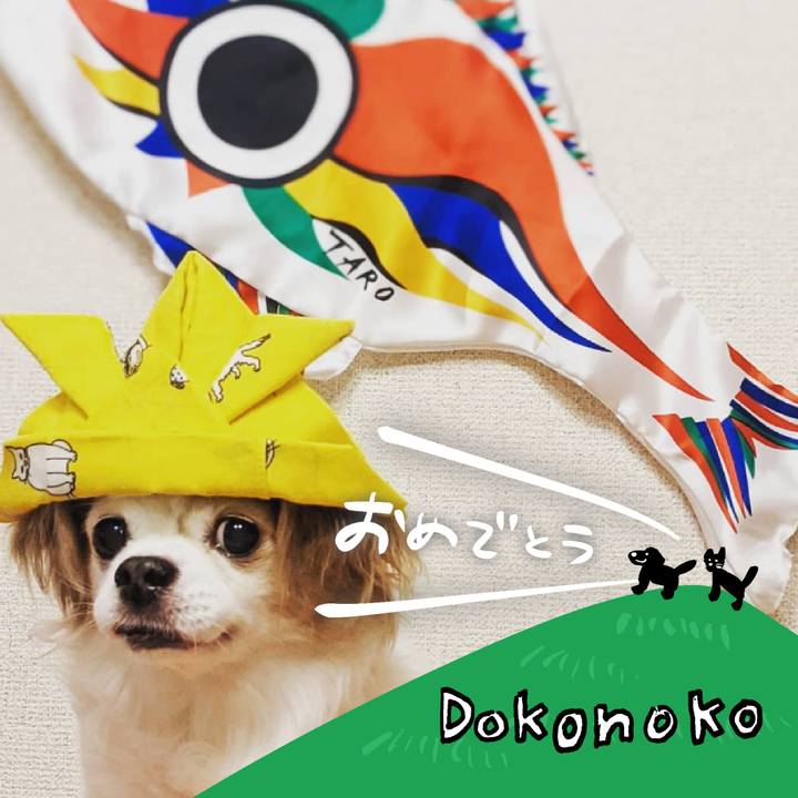 2286d241 37ea 4184 9682 d0d5a8767572 1685979151160