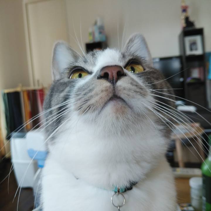 2286e86c 03d7 46cb 8b85 c0aba0817871 1582244178860