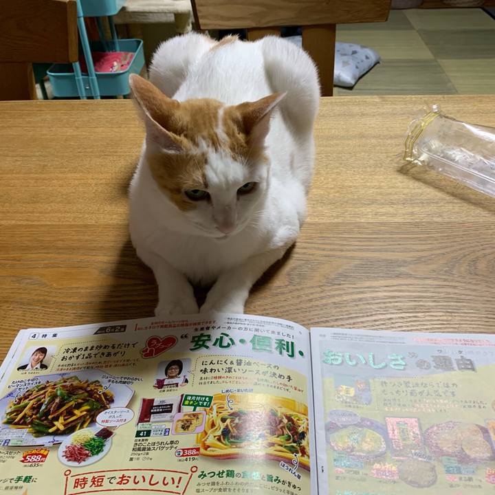 22871b57 4e66 45ce 8054 36038ca3b97d 1560005747327