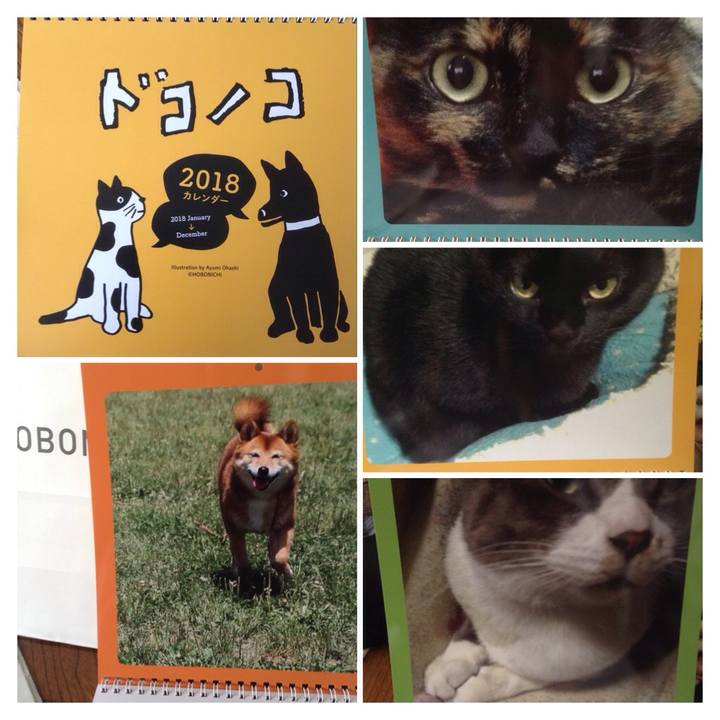 228747b6 3668 4272 a0df b98f7ceaf1c0 1510888505919