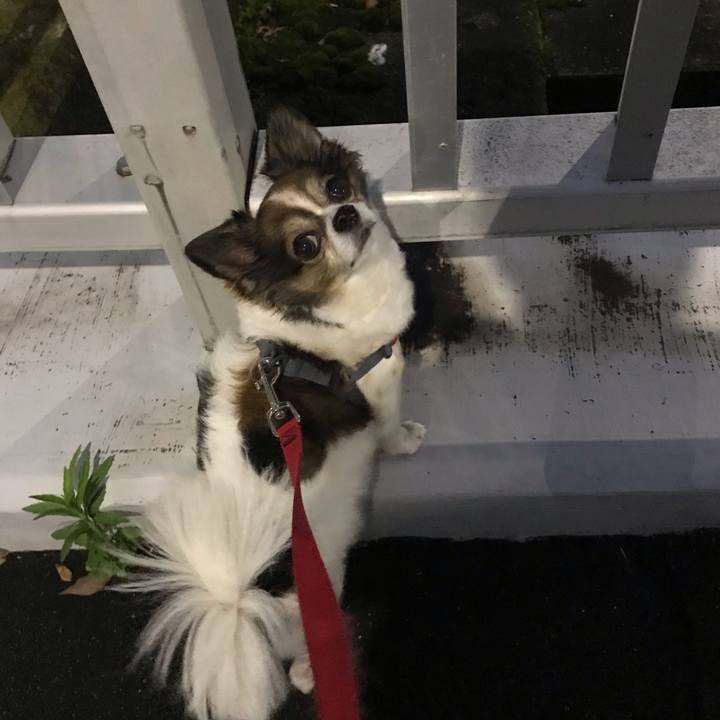 22876081 f81e 459c 8542 8ff6acef29e8 1592808720678