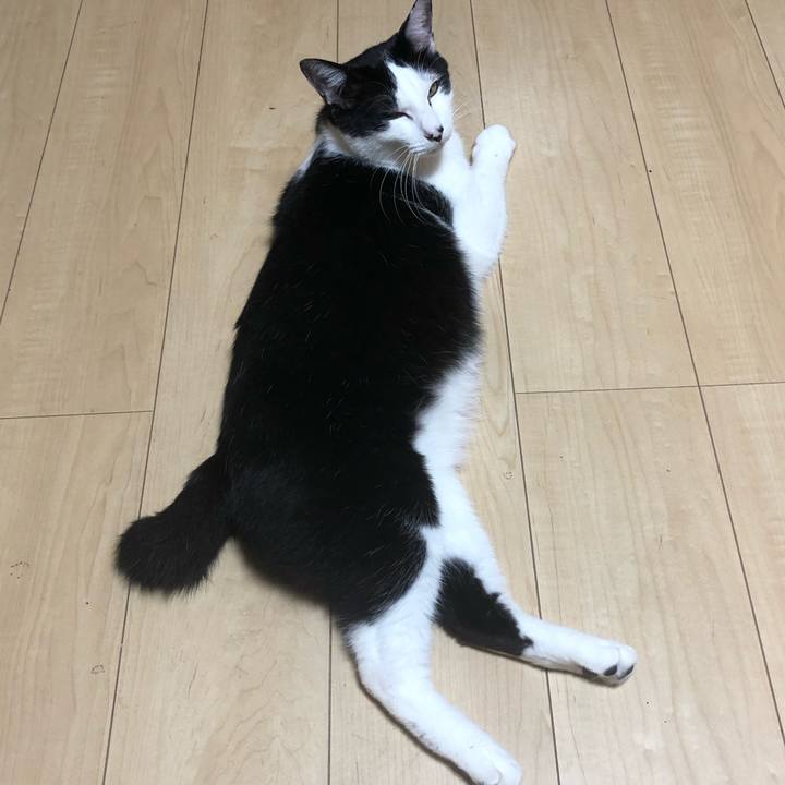 2287729a 2b30 493b b6de 0132f9598e20 1588608907961