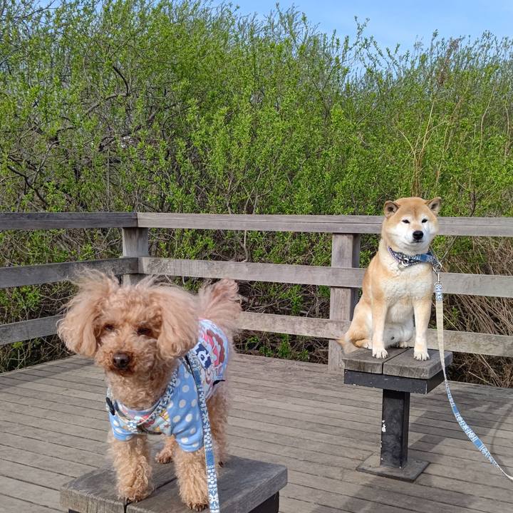 228777ff 07aa 4a26 93dc 61f356a6b92a 1615967275421