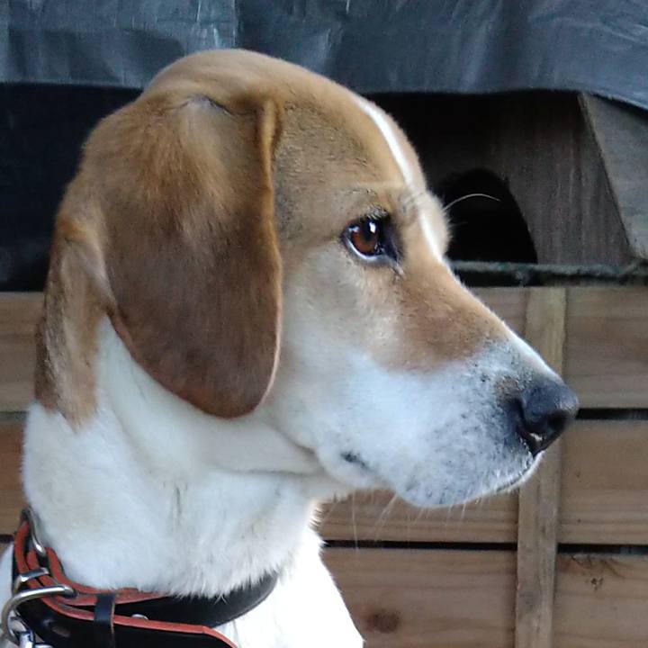 22877dfe 1f31 420b a162 42440c6afdd3 1645544786807