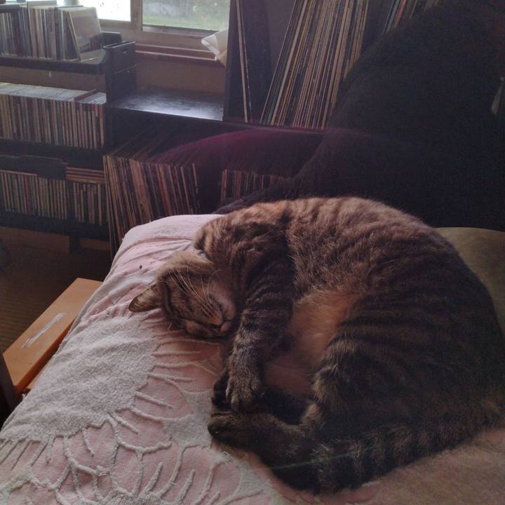 228784ba 35f7 4eaf bc83 f7604823f02a 1687211626900