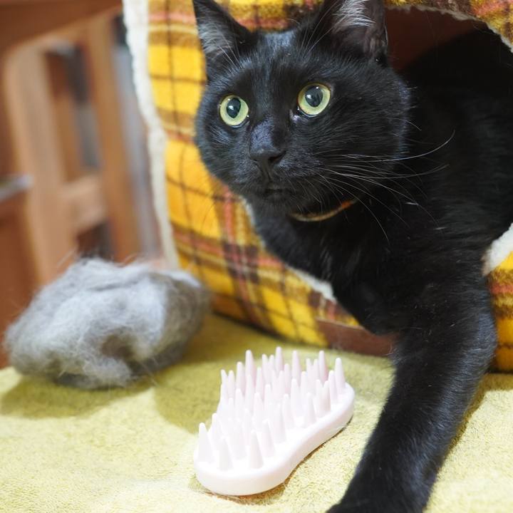 2287a687 ddd2 4052 a96a ec7c9ccf5bd3 1598190842501