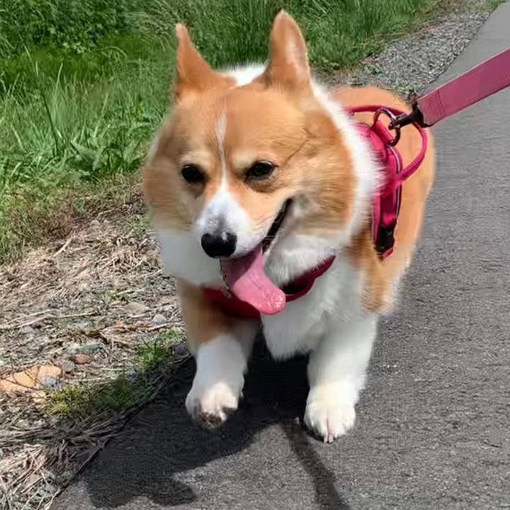 2287ba6f 5940 4ea7 9a42 fd70be9236f6 1655088045741