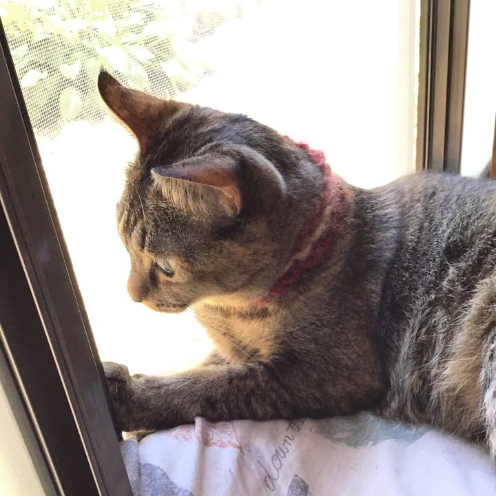 2287e720 0f18 4b08 9d28 6176472db3e3 1633235342641