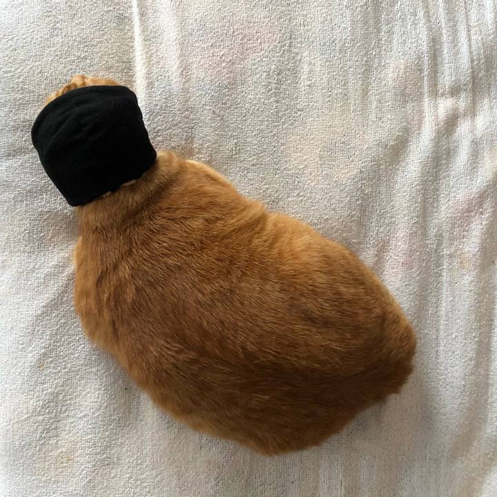 228835a5 f1b1 4555 bdad 5ae62f033f5d 1606606420942