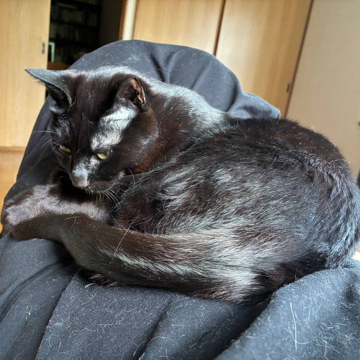 22886263 e356 4114 8a7b 431e8869aac9 1748642501249