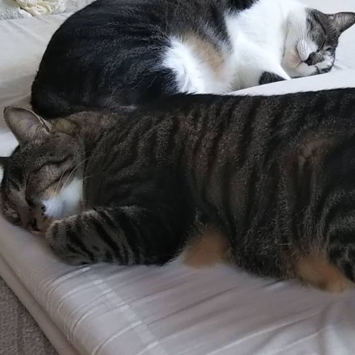 22886838 8d92 4473 a353 c43d7e15a2e8 1610292628431