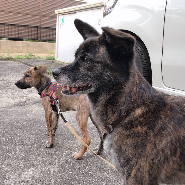 228874de d081 49e0 9860 c6ebee025e14 1568020084581