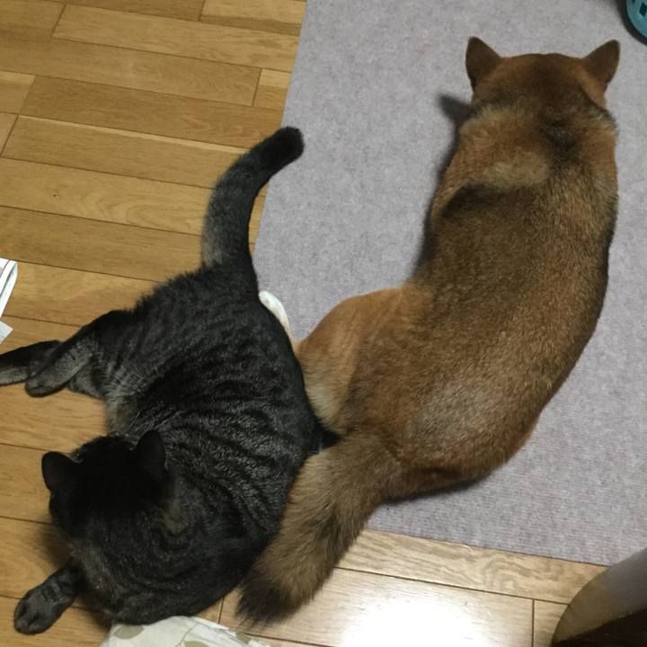 2288918e 545b 40e7 9497 6860d17f702f 1568422677744