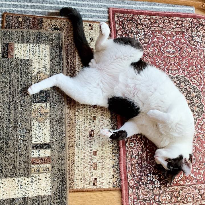 228891f2 1991 4986 8cf0 2a85bb1c250d 1540688187844