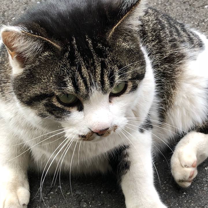 2288975b edd6 4af1 8951 6722a8510165 1516286179193